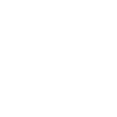 Material Kingdom Circle Logo